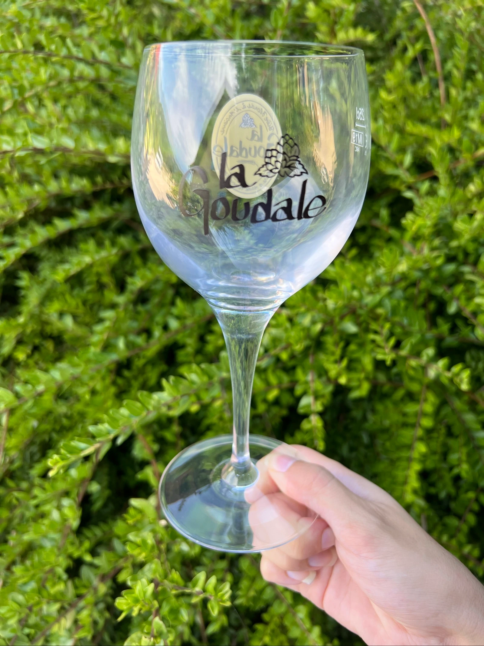 🍺 Verre à bière La Goudale 25cl officiel – Verre sur pied collection brasserie